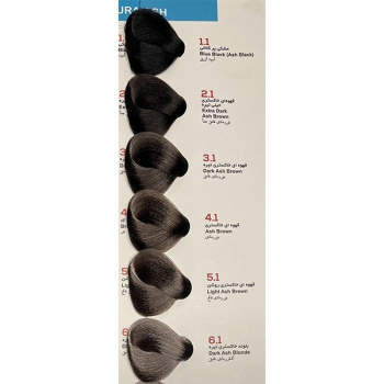 رنگ مو قهوه ای خاکستری خیلی تیره ویانا شماره 2/1 حجم 100 میلی لیتر