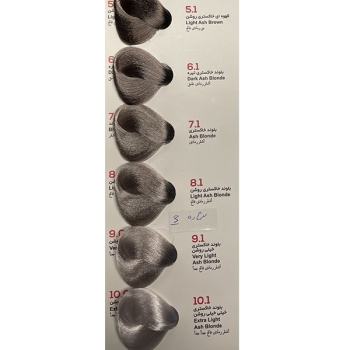 رنگ مو بلوند خاکستری روشن ویانا شماره 8/1 حجم 100 میلی لیتر