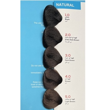 رنگ مو مشکی ویانا شماره 1/0 حجم 100 میلی لیتر