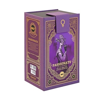 عطر ادوپرفیوم زنانه آر بی سی استوری مدل PASSIONATE حجم 100 میلی لیتر